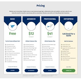 survey software: survey software